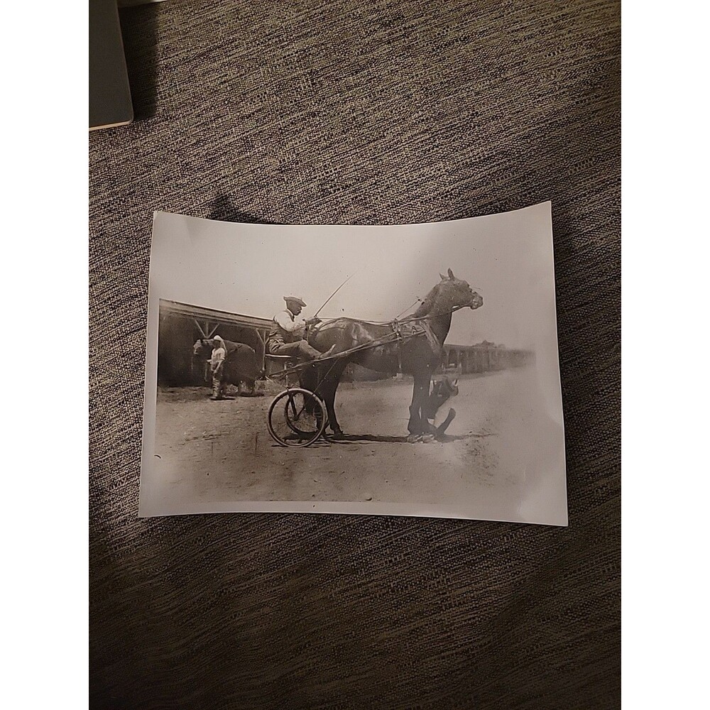 Antique Photo Harness Racing Horse Jockey Sepia Vtg New England Stable